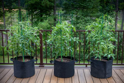 Vista 8 de Gardzen Paquete de 10 bolsas de cultivo de 1 galón, bolsas de cultivo de tela gruesa de 10.58 oz con asas, bolsas de cultivo de plantas de aireación