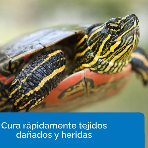 Vista 4 de API TURTLE FIX Remedio para Tortugas sin Bacilos, Botella de 4 onzas