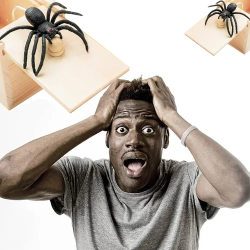 Vista 5 de Winbar Caja de Trucos de Araña de Goma, Caja Sorpresa de Trucos de Madera Hecha a Mano con Araña Oculta en Una Caja, Juguetes de Trucos para Adultos
