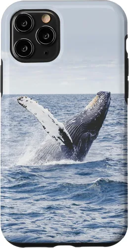 Vista 29 de Whale Case for iPhone 17