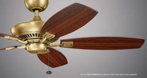 Vista 3 de Kichler 300117BSS Ventilador Canfield de 52 pulgadas, acero inoxidable cepillado