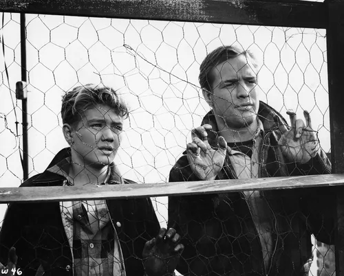 Vista 4 de On the Waterfront (The Criterion Collection) DVD