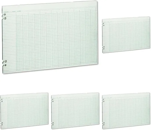 Vista 14 de Wilson Jones Hojas de contabilidad, seis columnas, 9-1/4 x 11-7/8, verde, paquete de 100 hojas sueltas (WLJG106)