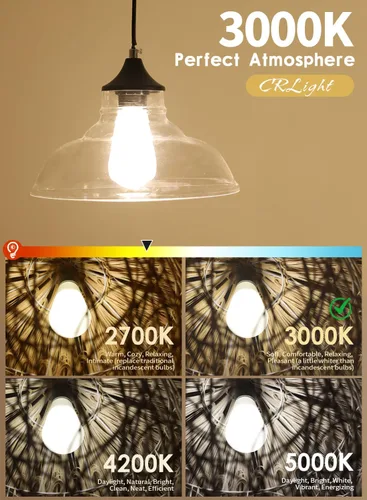 Vista 3 de Bombilla Edison LED regulable de 8 W ST64 E26, 3000 K, blanco suave