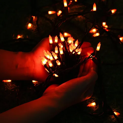 Vista 6 de Toodour Luces naranjas de Halloween, 12.5 pies, 50 luces incandescentes