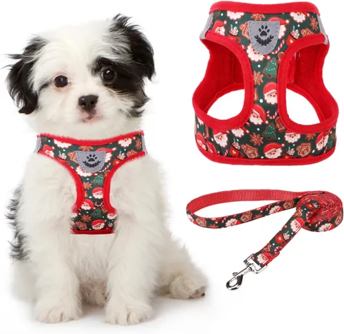 Vista 18 de Arnés de malla suave para cachorros – Juego de arnés y correa para perros pequeños, ajustable y cómodo chaleco reflectante acolchado para cachorros