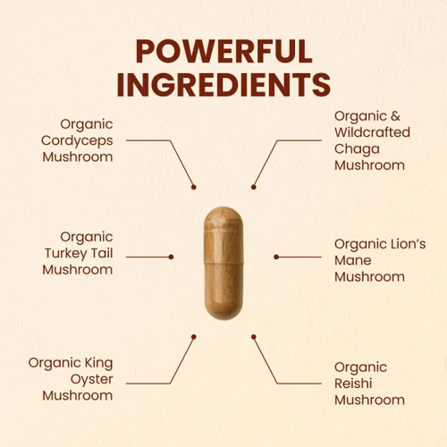 Vista 2 de CHOQ Seven Wonders Organic Mushroom Complex - Melena de León, Reishi, Chaga, Cordyceps - Apoyo inmunológico Alivio del estrés Energía natural - 30