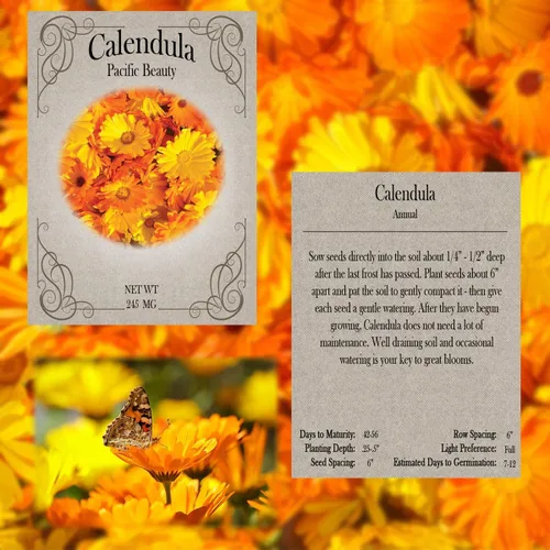 Vista 2 de Juego de semillas de flores, variedades de flores de semillas de alta calidad sin OMG y reliquias para plantar, girasol, caléndula, lavanda y mucho