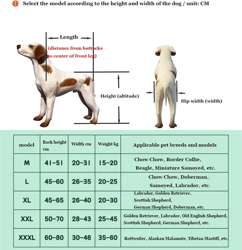 Vista 2 de Silla de ruedas para perros para patas traseras, carritos ajustables para perros con ruedas, silla de ruedas para mascotas con patas traseras
