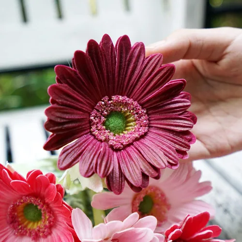 Vista 3 de FiveSeasonStuff Real Touch Gerbera Daisy - Arreglo de flores artificiales y ramo de boda (7 tallos florales, rojo baya)