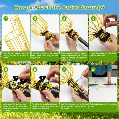 Vista 6 de Lilyvane Recolector de frutas, herramienta para recoger frutas de 66 pulgadas de largo con cesta de frutas, extensión de empalme ajustable