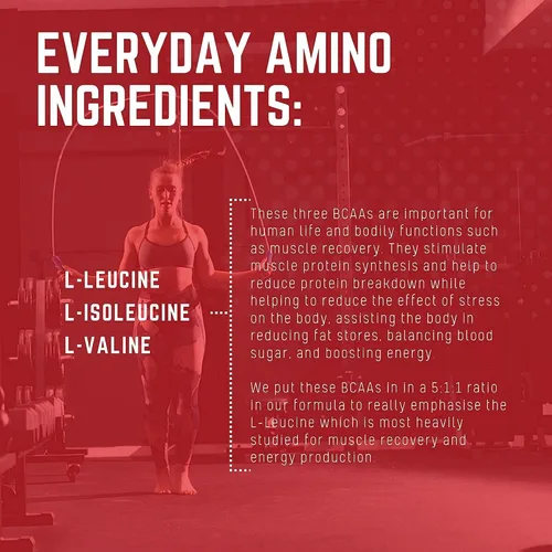 Vista 6 de Purus Labs Everyday Amino BCAA Powder Aminoácidos para hidratación y recuperación muscular Sin azúcar y sin gluten 30 porciones (cereza mora)