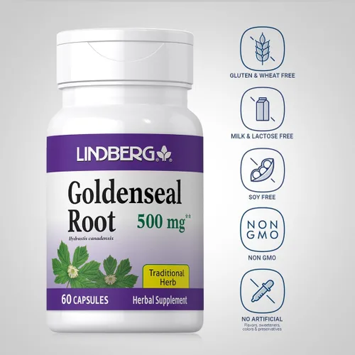 Vista 3 de Lindberg Cápsulas de raíz Goldenseal 500 mg 60 cápsulas Hierba tradicional Suplemento de extracto Sin OMG, sin gluten