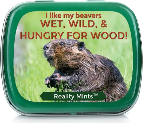 Vista 11 de Funny Statement Mints - Breath Fresheners for Adults - Mens Gag Gifts, Stocking Stuffers, Candy Basket Fillers - Sugar-Free - Pocket-Size Metal Tins