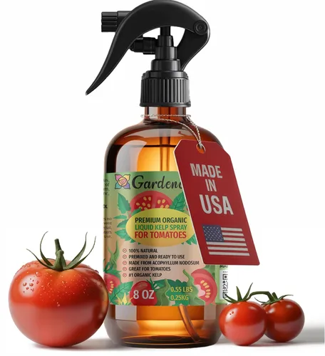Vista 15 de GARDENERA Spray orgánico profesional de algas marinas para plantas AGLAONEMA – 8 oz – Rocío fertilizante de algas marinas y algas marinas totalmente