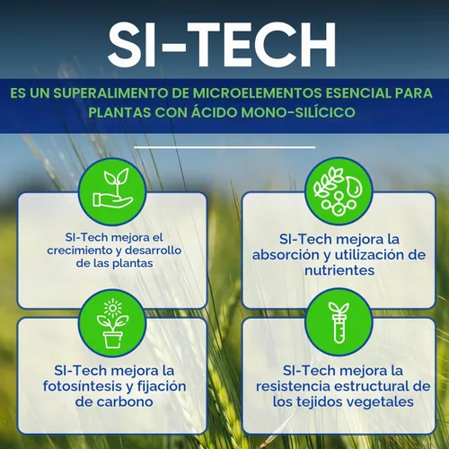 Vista 3 de AgroMagen, Si-Tech Solución nutritiva de sílice, ácido monosilícico para plantas con tecnología de quelación (4 onzas líquidas)
