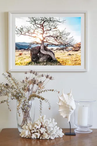 Vista 4 de Ashland Oregon Rogue Valley Nature Photography Wall Art Print