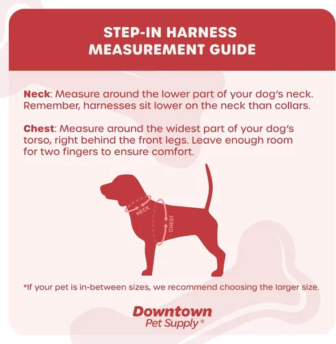 Vista 262 de Downtown Pet Supply Arnés para perro Step-in – Sin tirones, malla acolchada ajustable con ribete reflectante, correa de hebilla segura – Arnés