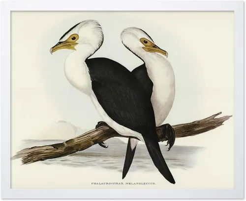 Vista 70 de Poster Master Póster vintage de James Audubon – Impresión retro de amargo americano – Arte de aves de América – Regalo para hombres, mujeres