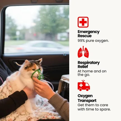 Vista 7 de Kit de oxígeno de rescate para gatos, suministro de oxígeno portátil para mascotas para transporte y rescate - oxígeno, máscara, regulador, tubo