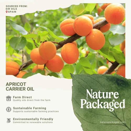 Vista 3 de Aceite de almendra de albaricoque, directo de España y Turquía, aceite portador 100% puro para cabello, cara y piel, aceites portadores prensados