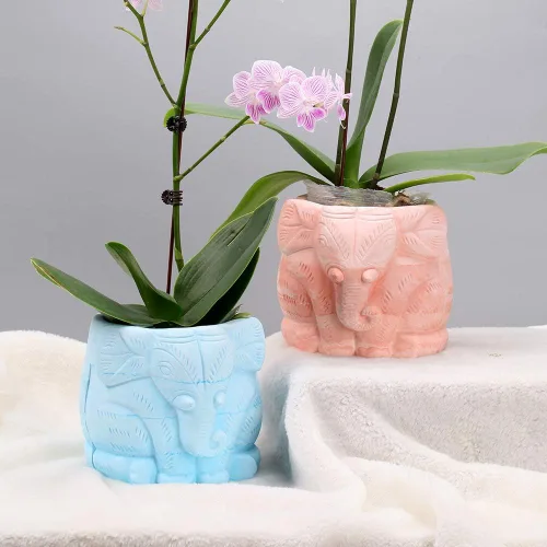 Vista 5 de Molde de silicona concreto 3D redondo con maceta animal que hace el molde