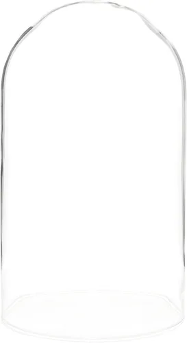 Vista 5 de Plymor Cúpula de cristal de 4.5" x 8" (base de chapa de roble)