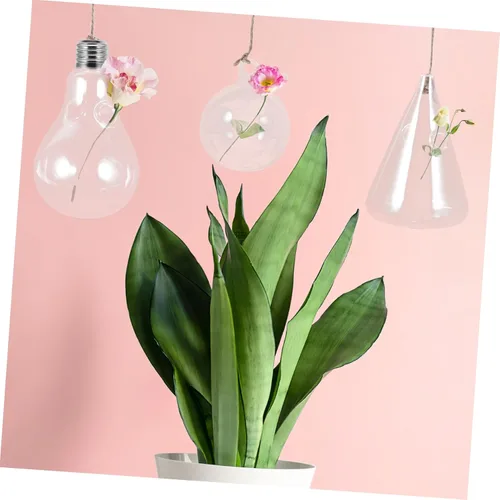 Vista 6 de BESTonZON 3Pcs Hanging Glass Planters Stylish Plant Holders Water Plant Containers for Home Decor for Terrarium and Succulent Display Smooth Surface