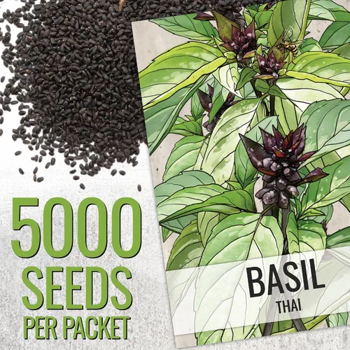 Vista 2 de Seed Needs Semillas de albahaca para plantar hierbas de albahaca tailandesa, reliquia sin OMG y sin tratar, cultiva un jardín de hierbas culinarias