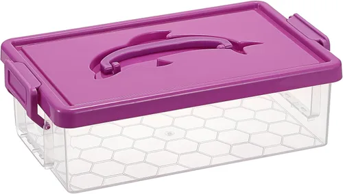 Vista 11 de BTSKY Caja de almacenamiento de plástico transparente pequeña con tapa, 9 x