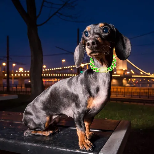 Vista 5 de Collar para perro de WimuPath con diamante verde enchapado en plata - Cadena de metal estilo cubano con hebilla de seguridad, collar lujoso
