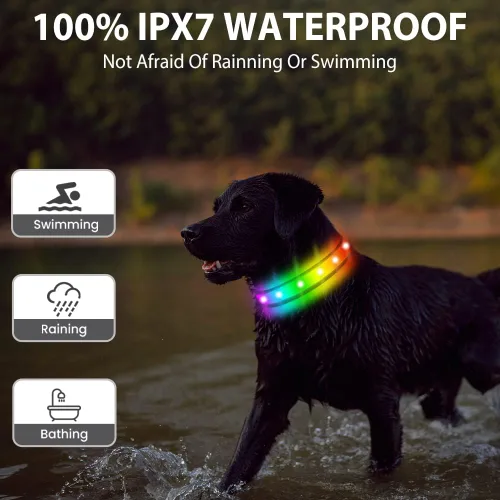 Vista 3 de Collar de perro con luz LED, multicolor con 3 modos de brillo, collar recargable que brilla en la oscuridad para perros pequeños, medianos