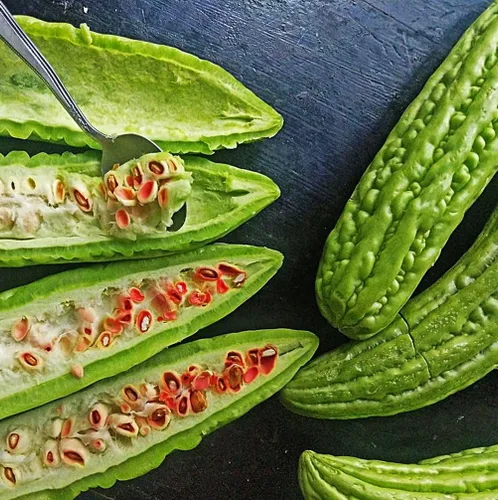 Vista 4 de 15 semillas de melón amargo: calabaza amarga reliquia, fácil de plantar (sin OGM)