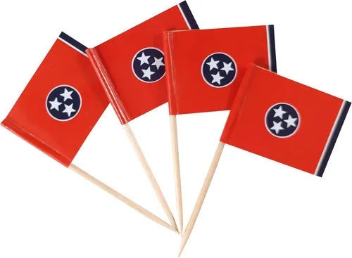 Vista 8 de JBCD Bandera de palillo de dientes de Arkansas Mini Banderas pequeñas para cupcakes de Arkansas, 100 piezas