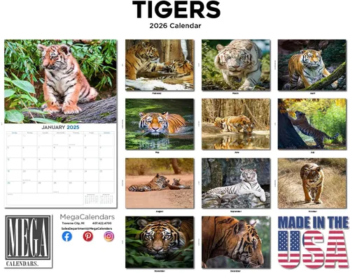 Vista 283 de Calendario de grises africanos 2025 2026 – Planificador mensual de pared de aves africanas – 12 x 18 pulgadas (abierto), calendario de pared