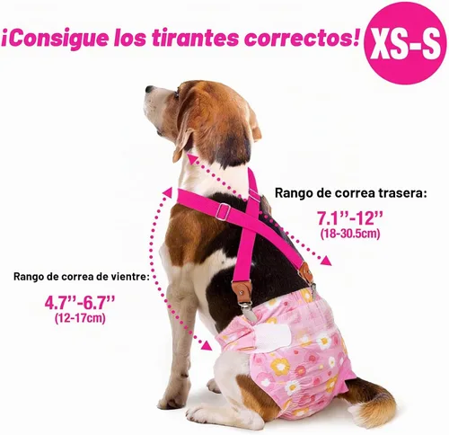 Vista 4 de Pet Soft Tirantes de pañales para perro hembra, 2 piezas, tirantes para falda de perro, vestido, Negro, rosa, marrón, burdeos
