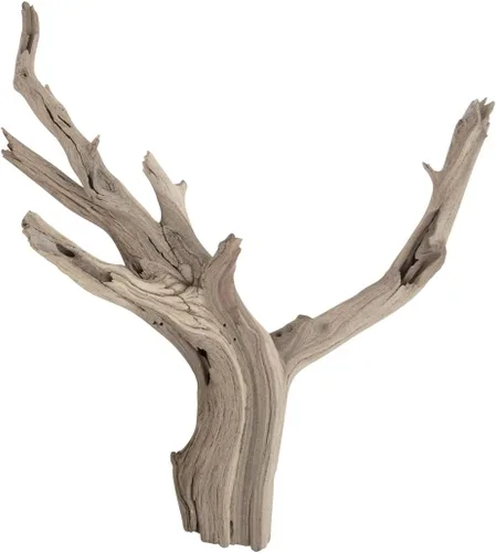 Vista 5 de Madera flotante de California Koyal con ramas naturales color café, 12 pulgadas