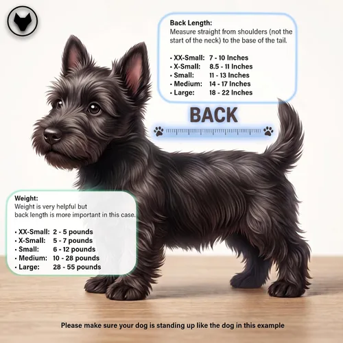 Vista 4 de CoyoteVest Arnés para Perro con Protección Chaleco, Accesorios Reflectantes para Perros con Puntas para Proteger a Tu Mascota de Ataques de Rapaces