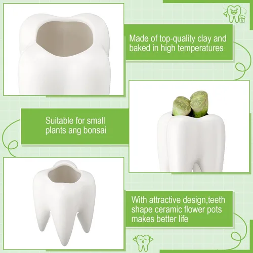 Vista 6 de 2 macetas en forma de dientes, de cerámica dental, estilo moderno, macetas de cactus blanco, para bonsái, maceta pequeña y bonita para suculentas