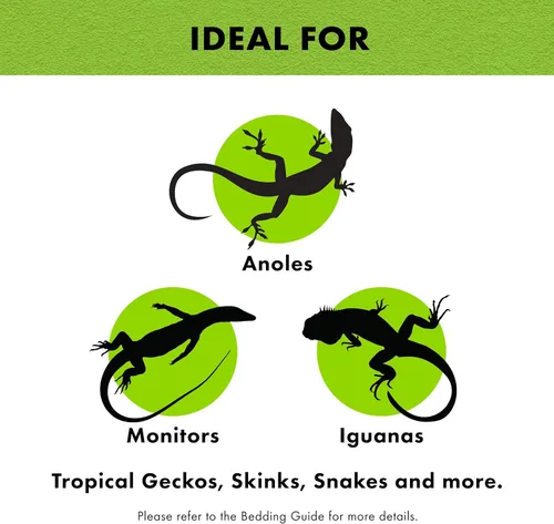 Vista 4 de Forro de sustrato para terrario de reptiles de Zilla, verde, 10G, 9.75" x 19.75