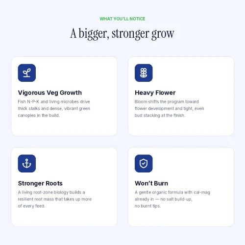 Vista 4 de FOOP Nutes Bloom Starter Pack: Obtén cogollos compactos, terpenos increíbles y una explosión de tricomas Infundido con Cal/Mag y sílice