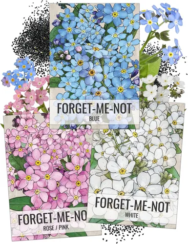 Vista 17 de Seed Needs - Semillas de Capuchina para Plantar Flores Comestibles - Juego de Colección de Mezcla Joya y Capuchinas de Doble Brillo para Atraer