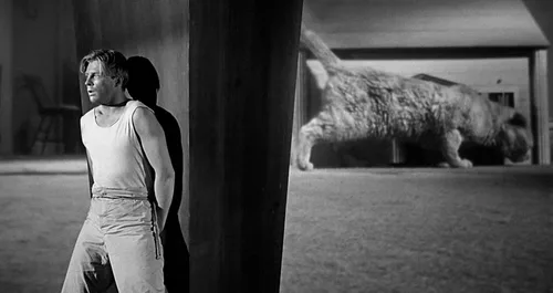 Vista 2 de The Incredible Shrinking Man (The Criterion Collection)