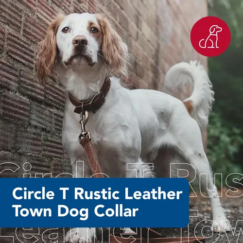 Vista 2 de Coastal Pet - Circle T - Collar de piel rústica para perro, rojo ladrillo, 1 x 20 pulgadas