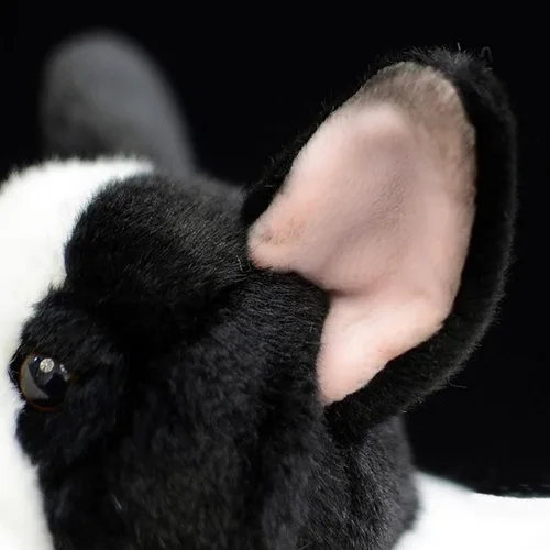 Vista 3 de FRANKIEZHOU Peluche realista de bulldog francés, juguete de peluche negro de 10.24 pulgadas, compañero abrazador para perros, niños, niñas, niños