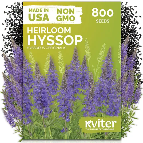 Vista 11 de KVITER 1000 semillas de quinua de cordero (Chenopodium Album) - Hierbas comestibles autóctonas, ideales para jardines de hierbas orgánicas