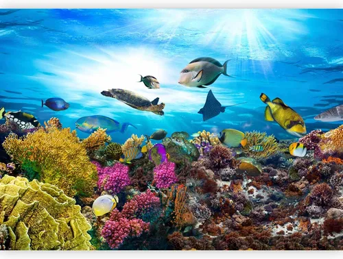 Vista 10 de artgeist Mural de pared premium mundo submarino, 98 x 69 pulgadas, papel tapiz no tejido XXL, decoración de pared de vellón, impresión fotográfica