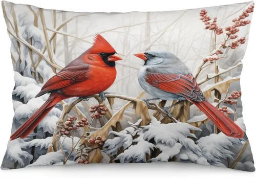 Vista 16 de Fundas de cojín decorativas para cama, diseño de pueblo de invierno, escena de invierno, con una casa victoriana en un entorno nevado, fundas