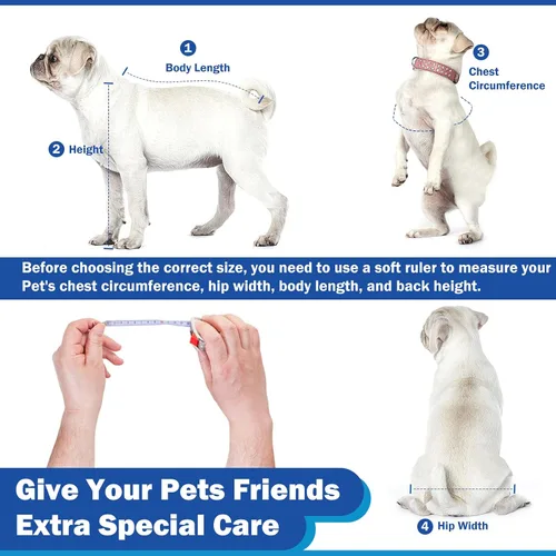Vista 2 de Silla de ruedas para perros para patas traseras (M), nueva silla de ruedas ajustable para perro, ayuda a mascotas pequeñas con extremidades traseras