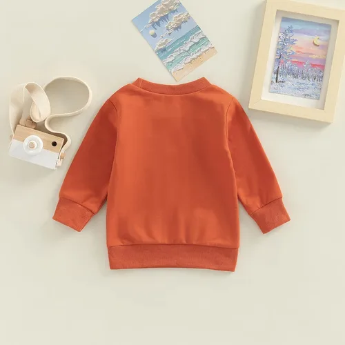 Vista 87 de Disfraz de Halloween para bebé, sudadera de calabaza con cuello redondo, suéter de manga larga, ropa de otoño